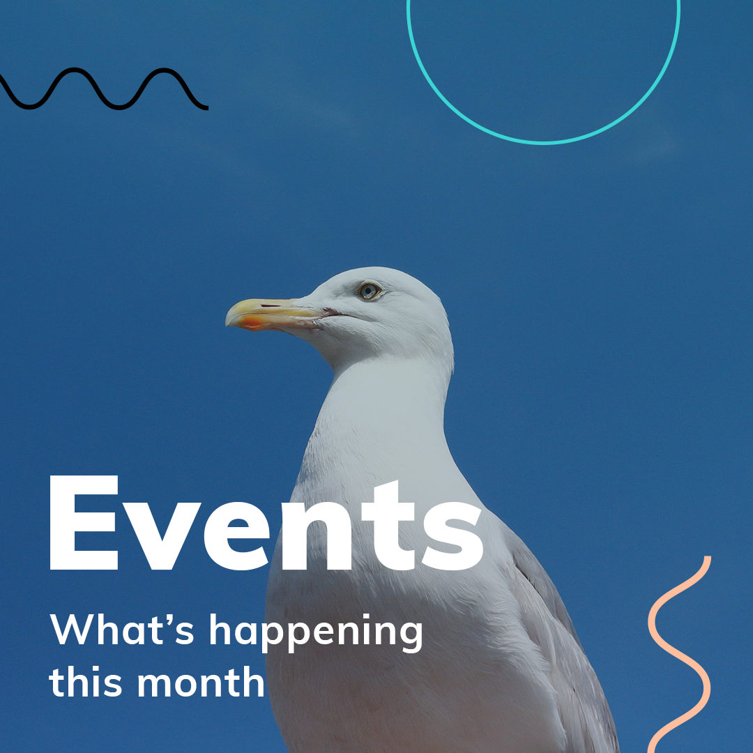 January Events: What’s On This Month?