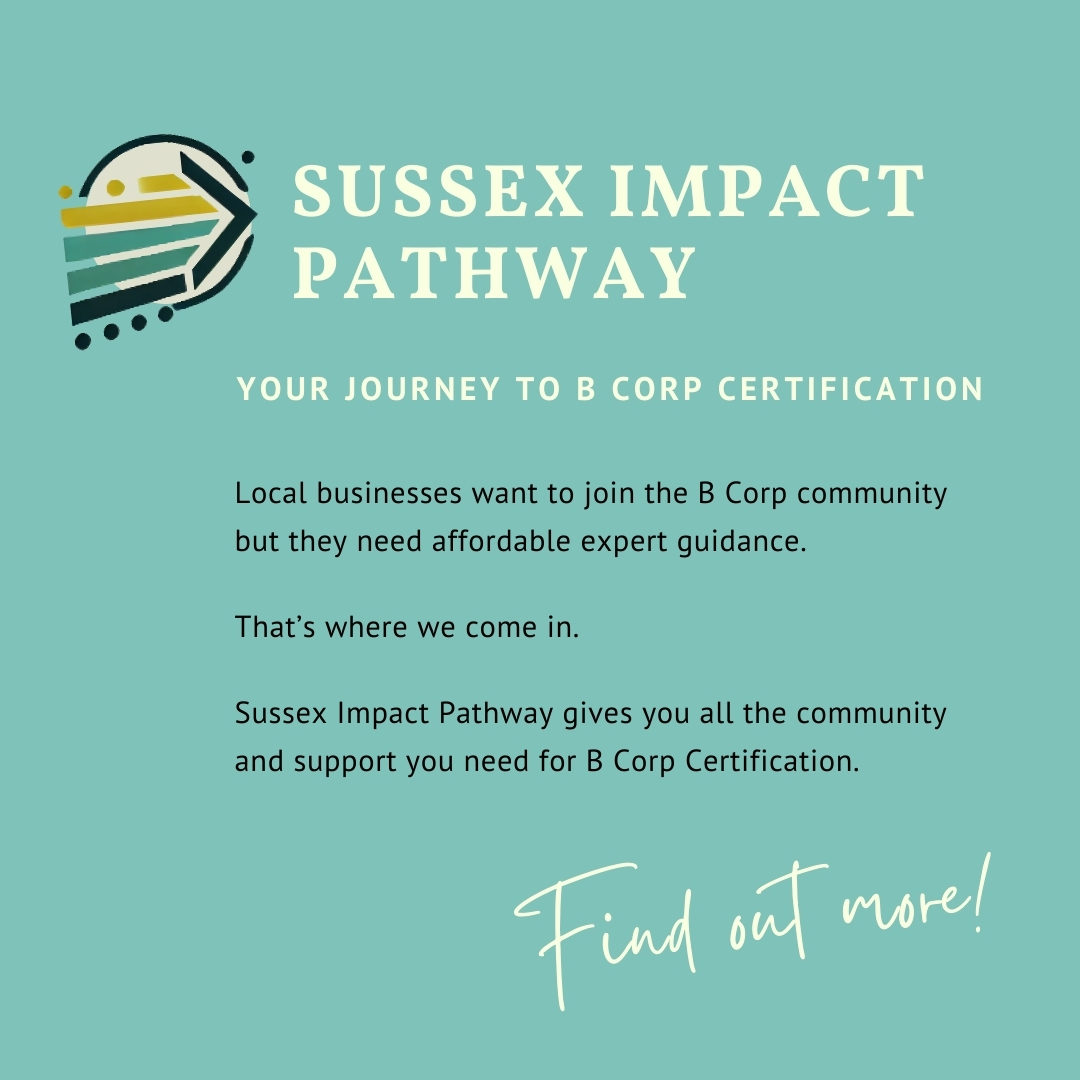 B Corp Course Session 1 - Sussex Impact Pathway