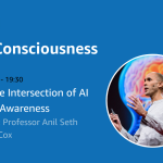 Brighton AI: AI and Consciousness