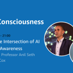 Brighton AI: AI and Consciousness